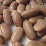 Kentucky Wonder (Old Homestead) BEAN, SNAP (POLE) 228 g