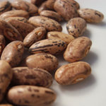 Rattlesnake BEAN, SNAP (POLE) 114 g