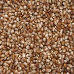 Turkey Craw BEAN, SNAP (POLE) 14 g