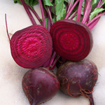 Crosby Egyptian (Early Crosby Egyptian) BEET 28 g