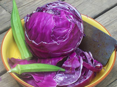 Red Acre Cabbage 2g Red Acre Cabbage 2g