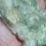 Erlene's Green Cotton