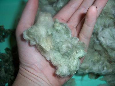 Erlene's Green Cotton Erlene's Green Cotton