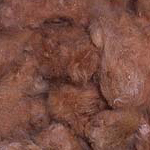 Mississippi Brown Cotton