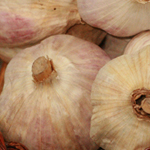 German Extra-Hardy Hardneck Garlic 8 oz.