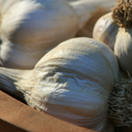 Mild French Silverskin Softneck Garlic 8 oz.