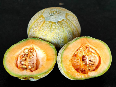 Golden Jenny MUSKMELON 2 g Golden Jenny MUSKMELON 2 g