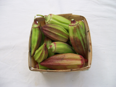 Alabama Red OKRA 28 g Alabama Red OKRA 28 g