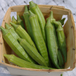 Evertender OKRA 5 g Evertender OKRA 5 g