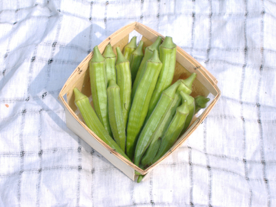 Evertender OKRA 5 g Evertender OKRA 5 g