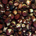 Ozark Razorback Southern Pea (Cowpea) 28 g