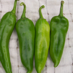 Anaheim Chile PEPPER, HOT 3 g