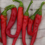 Cayenne, Long Red PEPPER, HOT 3 g - Click Image to Close