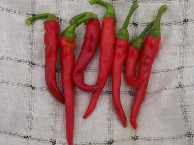 Cayenne, Long Red PEPPER, HOT 0.5 g Cayenne, Long Red PEPPER, HOT 0.5 g
