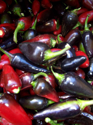 Czechoslovakian Black PEPPER, HOT 0.5 g Czechoslovakian Black PEPPER, HOT 0.5 g