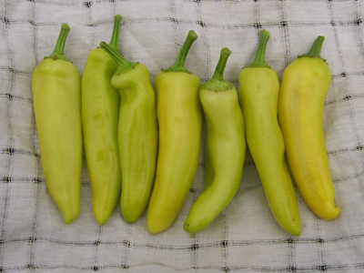 Hungarian Wax (Hot Banana) PEPPER, HOT 0.5 g Hungarian Wax (Hot Banana) PEPPER, HOT 0.5 g