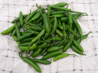 Serrano Tampiqueno PEPPER, HOT 0.25 g Serrano Tampiqueno PEPPER, HOT 0.25 g