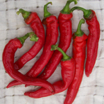 Jimmy Nardello's Italian PEPPER, SWEET/DRYING 0.5 g
