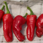 Melrose PEPPER, FRYING 0.5 g