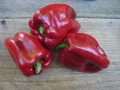 Napoleon Sweet PEPPER, BELL (SWEET) 0.5 g Napoleon Sweet PEPPER, BELL (SWEET) 0.5 g