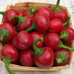 Red Cherry (Cherry Sweet) PEPPER, FRYING 0.5 g