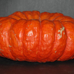 Rouge Vif D'Étampes