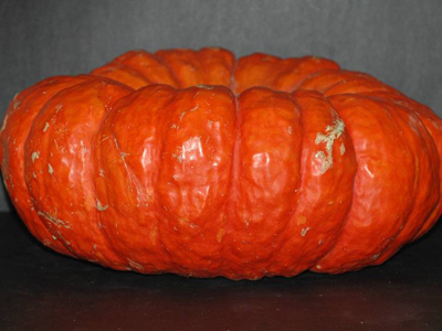 Rouge Vif D'Étampes (Cinderella) PUMPKIN 4 g Rouge Vif D'Étampes (Cinderella) PUMPKIN 4 g