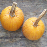 Small Sugar PUMPKIN 28 g
