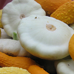 Benning's Green Tint SQUASH, SUMMER 4 g