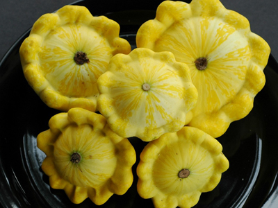 Golden Bush Scallop SQUASH, SUMMER 3 g