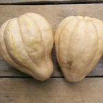Thelma Sanders Sweet Potato (Acorn) SQUASH, WINTER 2 g