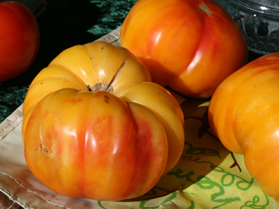 Big Rainbow TOMATO 1.5 g Big Rainbow TOMATO 1.5 g
