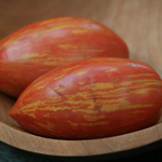 Striped Roman TOMATO 0.16 g