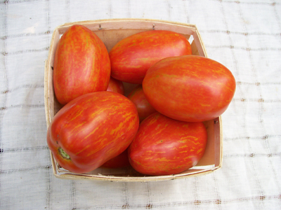 Striped Roman Paste Tomato 0.16 g Striped Roman Paste Tomato 0.16 g