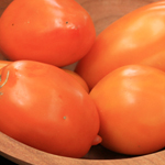Illini Gold TOMATO 0.16 g Illini Gold TOMATO 0.16 g