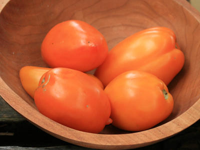 Illini Gold TOMATO 0.16 g Illini Gold TOMATO 0.16 g