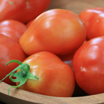 Roma VF TOMATO 0.16 g