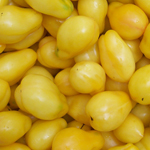 Yellow Bell TOMATO 0.16 g Yellow Bell TOMATO 0.16 g