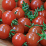 Matt’s Wild Cherry TOMATO, CHERRY 0.08 g