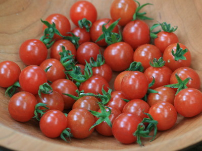 Matt’s Wild Cherry TOMATO, CHERRY 0.08 g Matt’s Wild Cherry TOMATO, CHERRY 0.08 g
