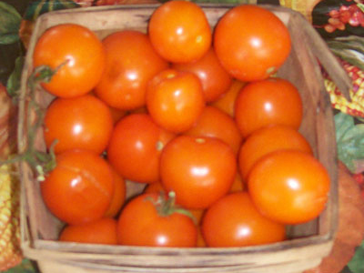 Mini Orange TOMATO 0.16 g Mini Orange TOMATO 0.16 g