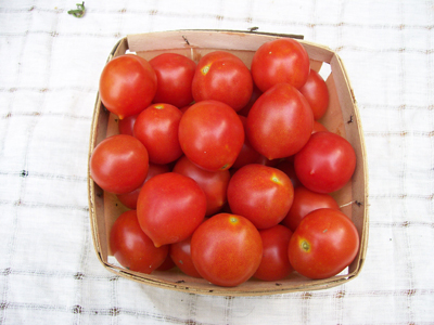 Riesentraube TOMATO, CHERRY 0.16 g Riesentraube TOMATO, CHERRY 0.16 g