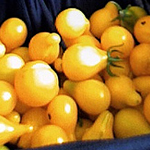 Yellow Pear TOMATO, CHERRY 0.08 g Yellow Pear TOMATO, CHERRY 0.08 g