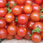 Sugar Cherry TOMATO, CHERRY 0.09 g