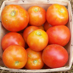 Glacier TOMATO 1.5 g
