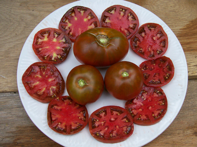 black prince tomato