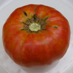 Delicious TOMATO 0.16 g