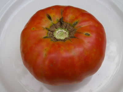 Delicious TOMATO 0.16 g Delicious TOMATO 0.16 g