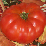 Good Neighbor TOMATO 0.16 g