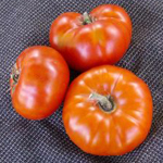 Hazelfield Farm Red TOMATO 0.16 g